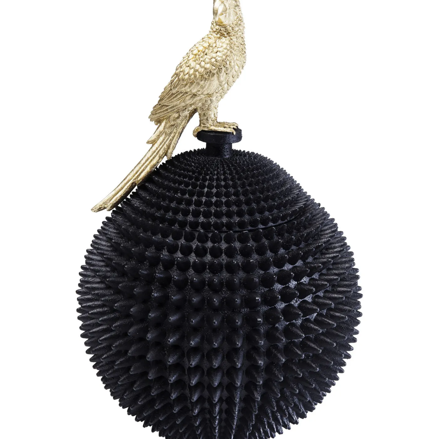 KARE Design Boite Décorative Parrot 40Cm