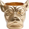 KARE Design Cachepot Décoratif Bulldog Dore