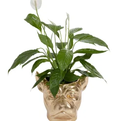 KARE Design Cachepot Décoratif Bulldog Dore