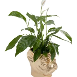 KARE Design Cachepot Décoratif Bulldog Dore