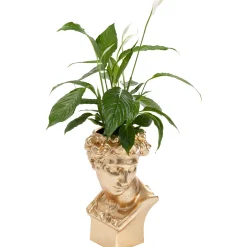 KARE Design Cachepot Décoratif David Dore