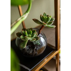 KARE Design Etagere Cesaro 90X170Cm