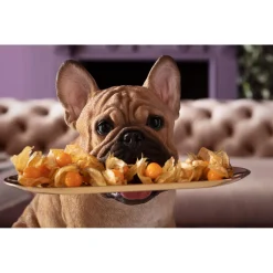 KARE Design Figurine Décorative Butler Frenchy 40Cm