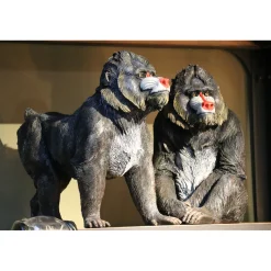 KARE Design Figurine Décorative Sitting Madrill 37Cm