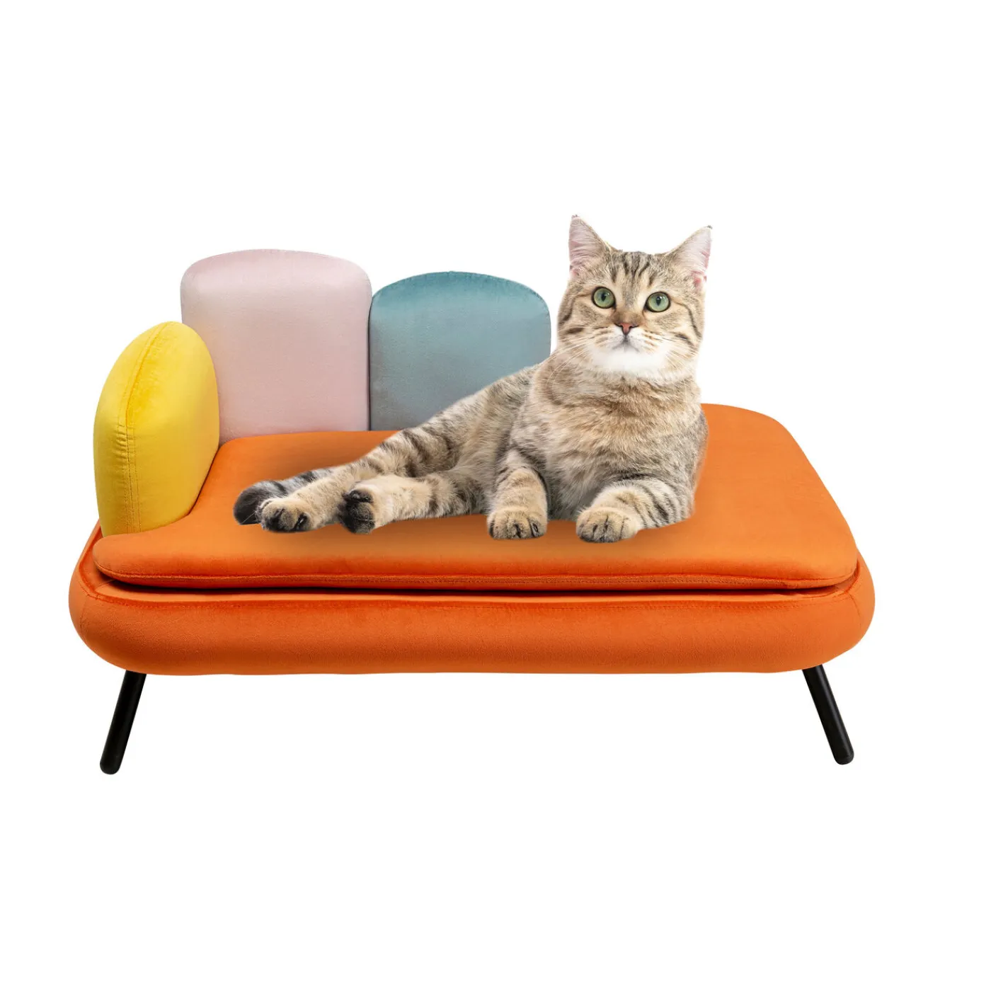 KARE Design Lit Pour Chien/Chat Diva Orange