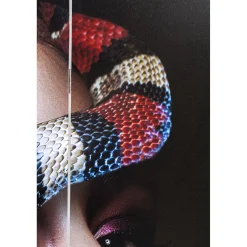 KARE Design Paravent Royal Headdress Vs Snake Girl 120X180