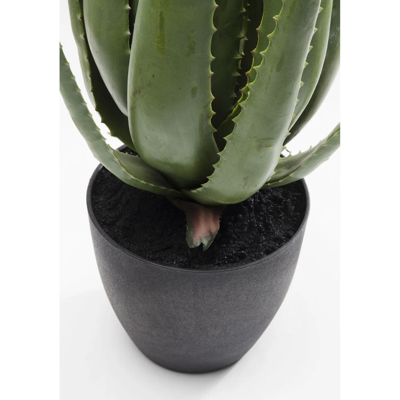 KARE Design Plante Décorative Aloe 69Cm