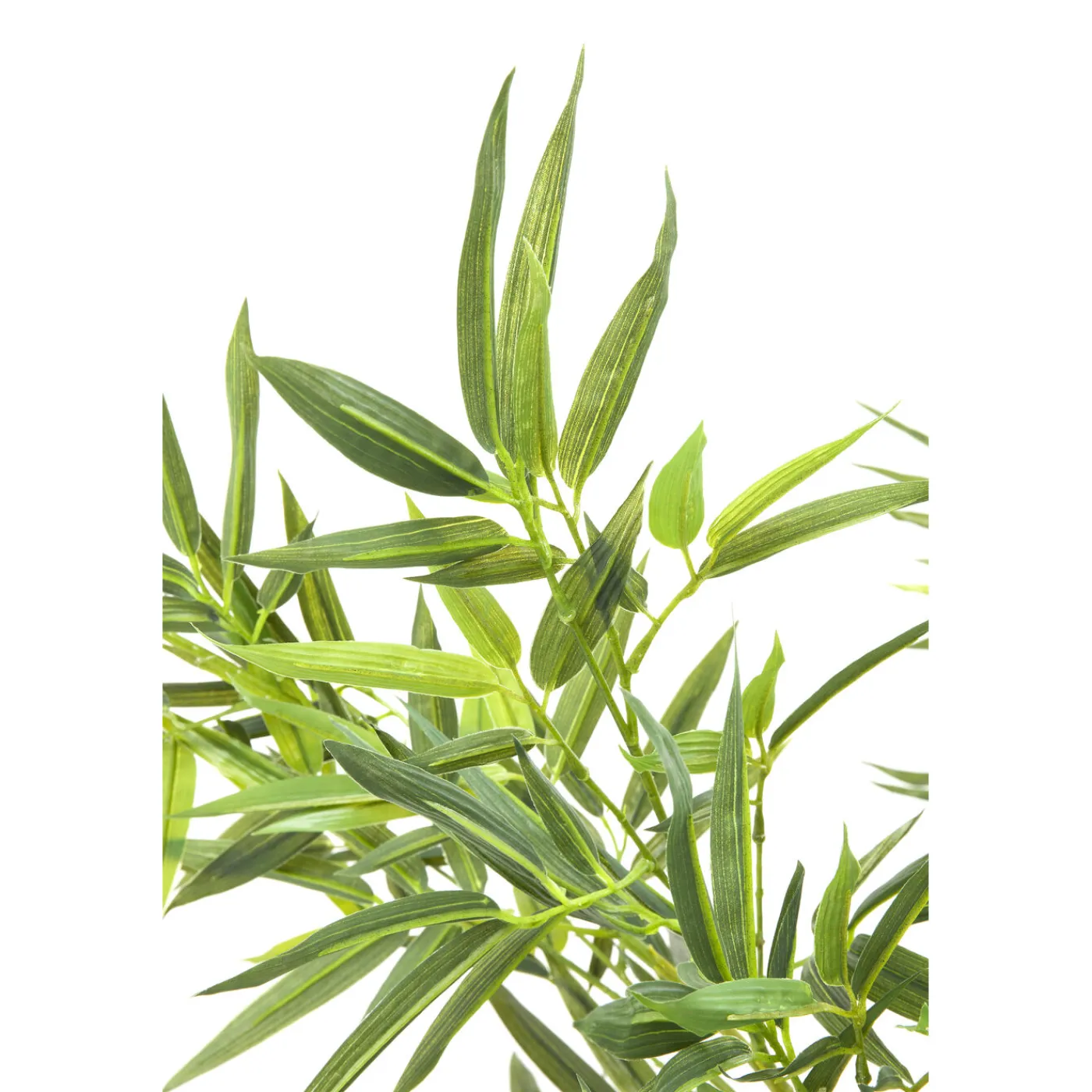 KARE Design Plante Décorative Bamboo Tree 200Cm