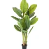 KARE Design Plante Décorative Banana Tree 180Cm