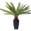 KARE Design Plante Décorative Cycas Tree 78Cm