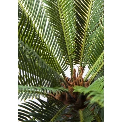 KARE Design Plante Décorative Cycas Tree 78Cm