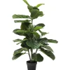 KARE Design Plante Décorative Fiddle Leaf 120Cm