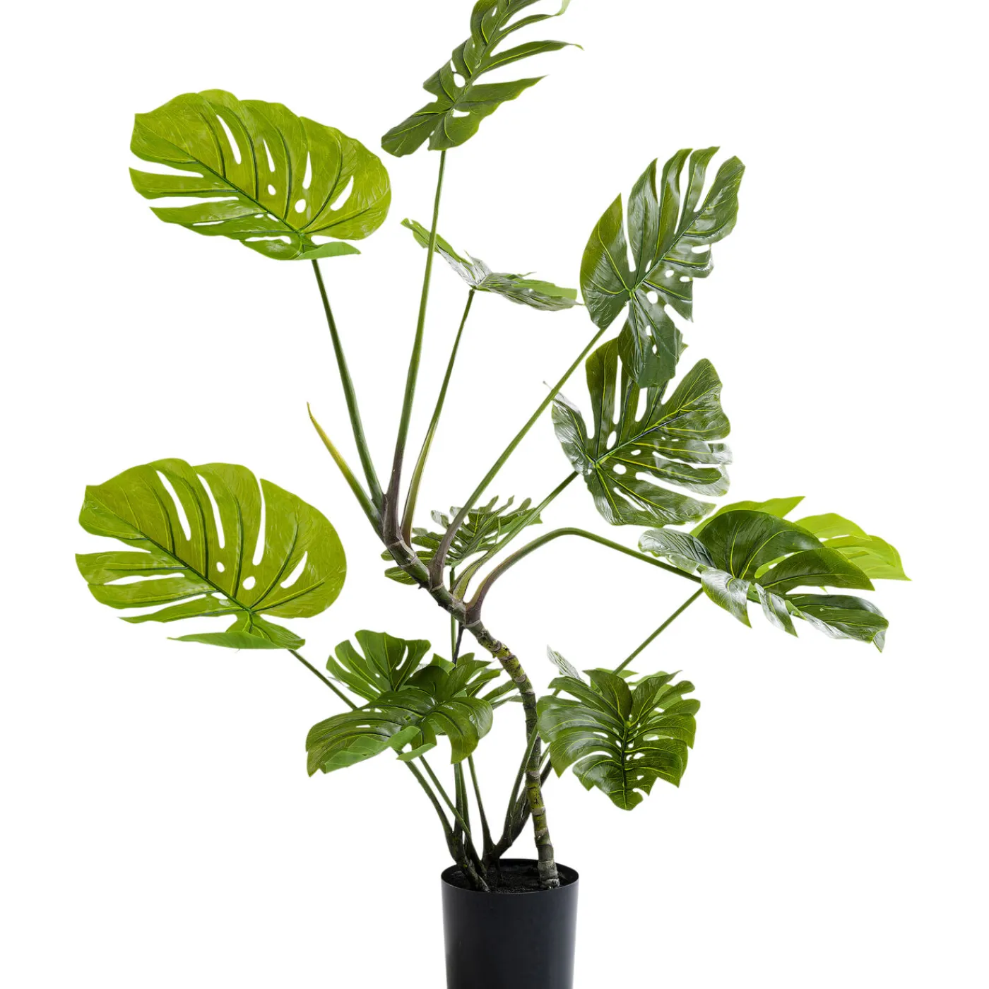 KARE Design Plante Décorative Monstera 110