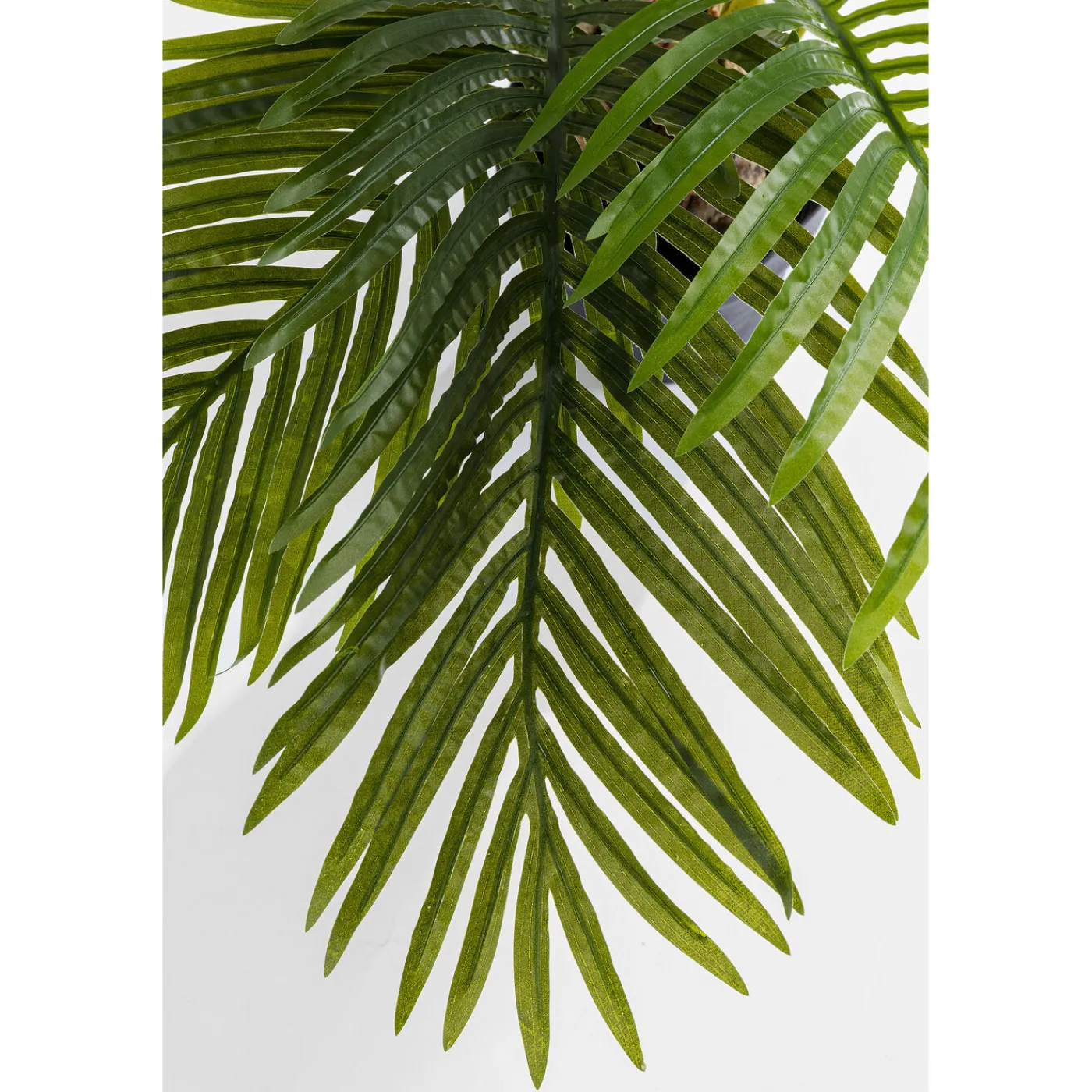 KARE Design Plante Décorative Palm Tree 190Cm
