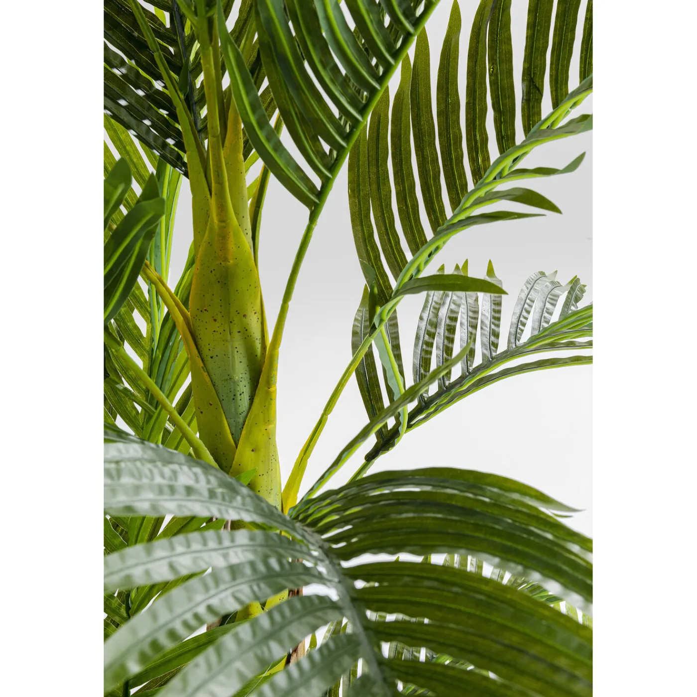 KARE Design Plante Décorative Palm Tree 190Cm