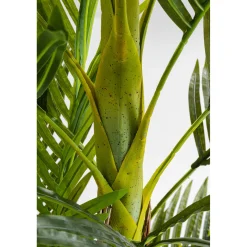 KARE Design Plante Décorative Palm Tree 190Cm