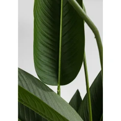 KARE Design Plante Décorative Paradise Flowers 190Cm