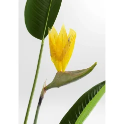 KARE Design Plante Décorative Paradise Flowers 190Cm