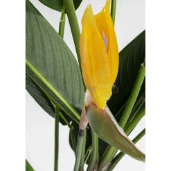 KARE Design Plante Décorative Paradise Flowers 190Cm