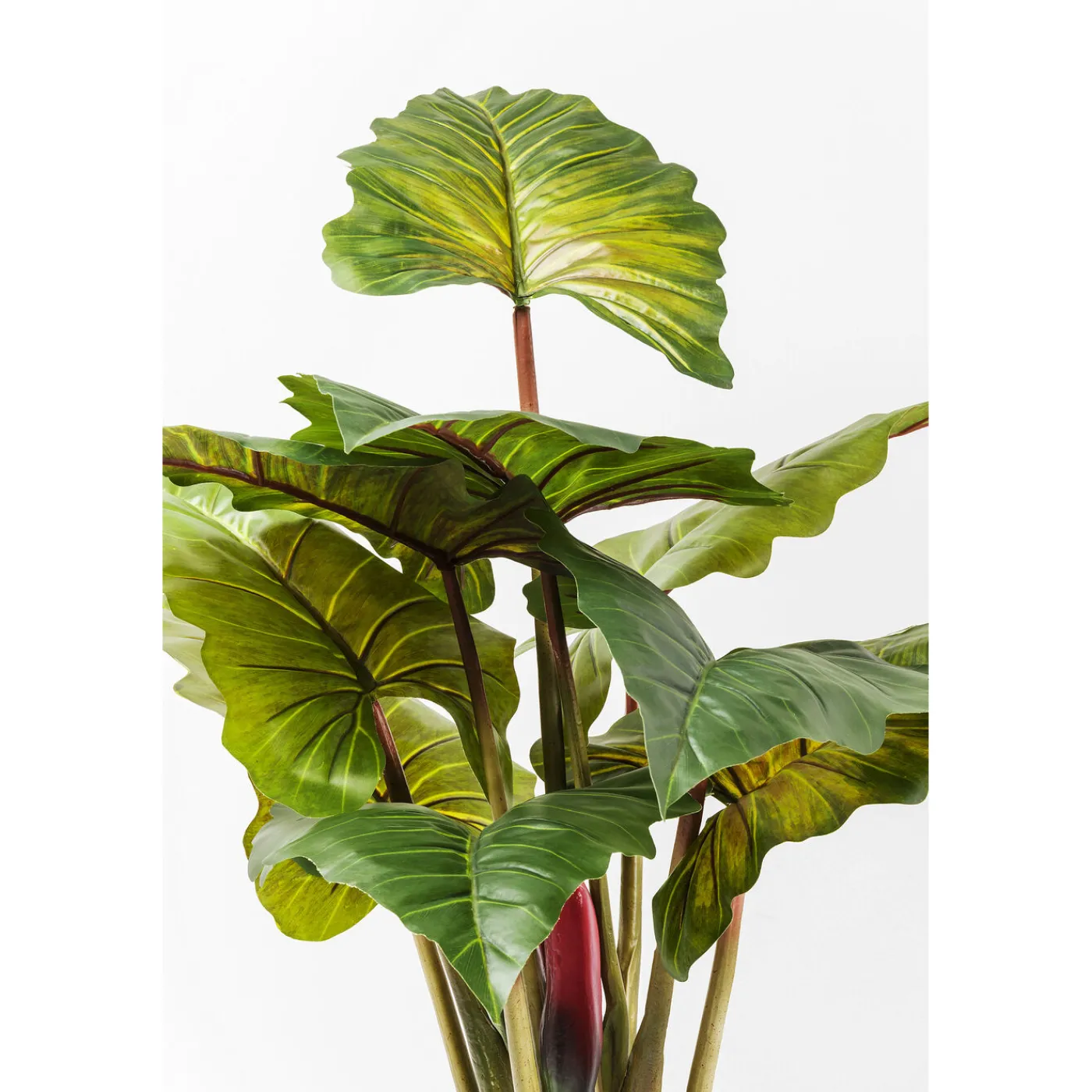 KARE Design Plante Décorative Rainbow Tree 160Cm