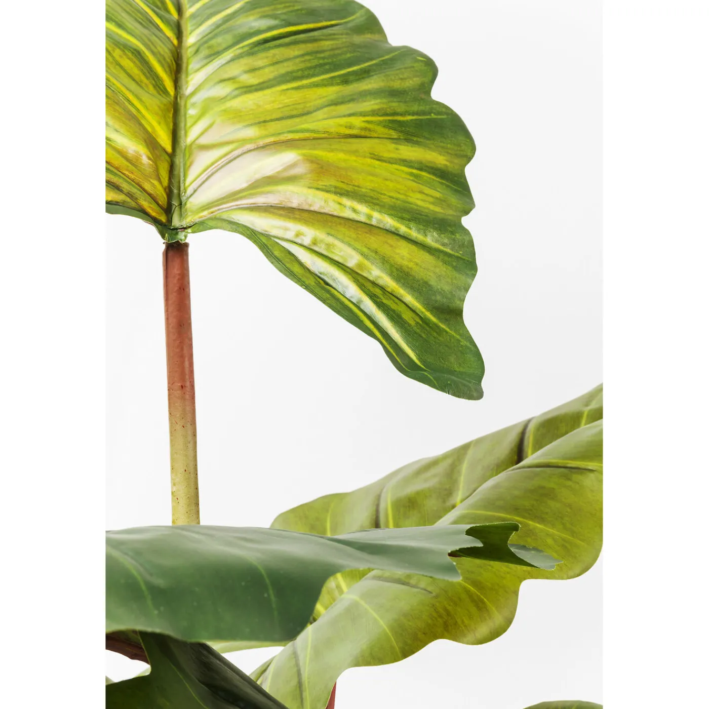 KARE Design Plante Décorative Rainbow Tree 160Cm