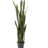 KARE Design Plante Décorative Sansewieria 155Cm
