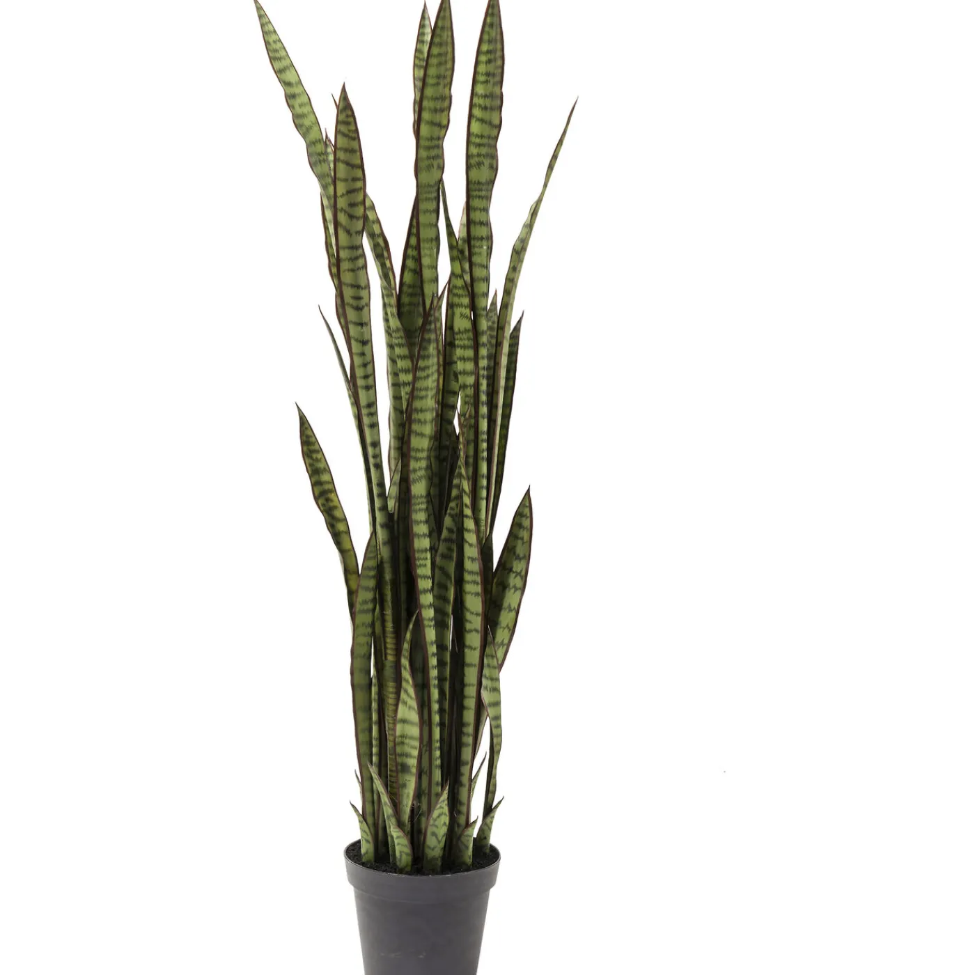 KARE Design Plante Décorative Sansewieria 155Cm