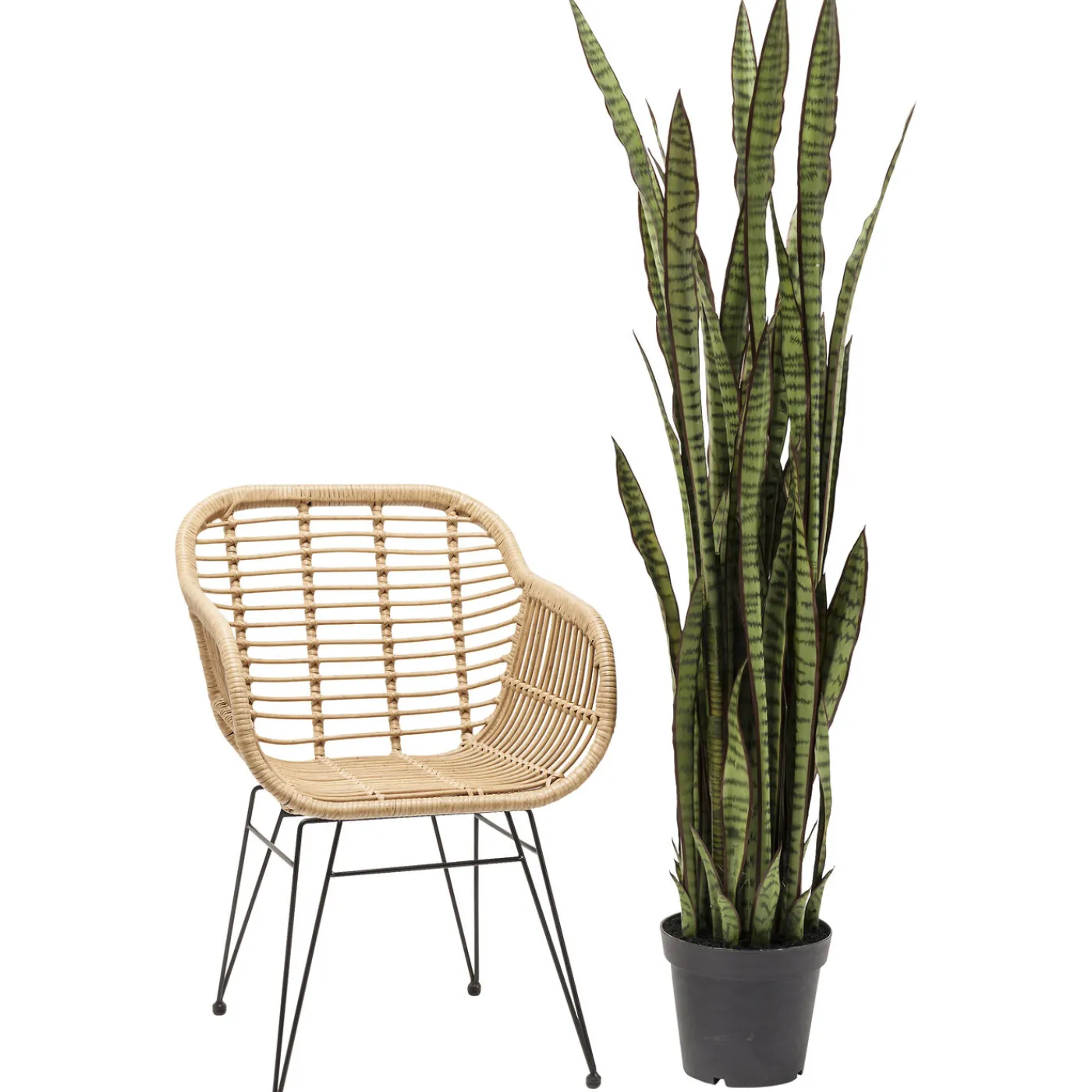 KARE Design Plante Décorative Sansewieria 155Cm