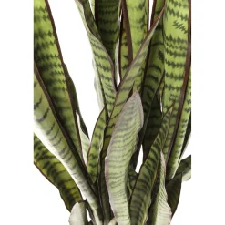 KARE Design Plante Décorative Sansewieria 155Cm