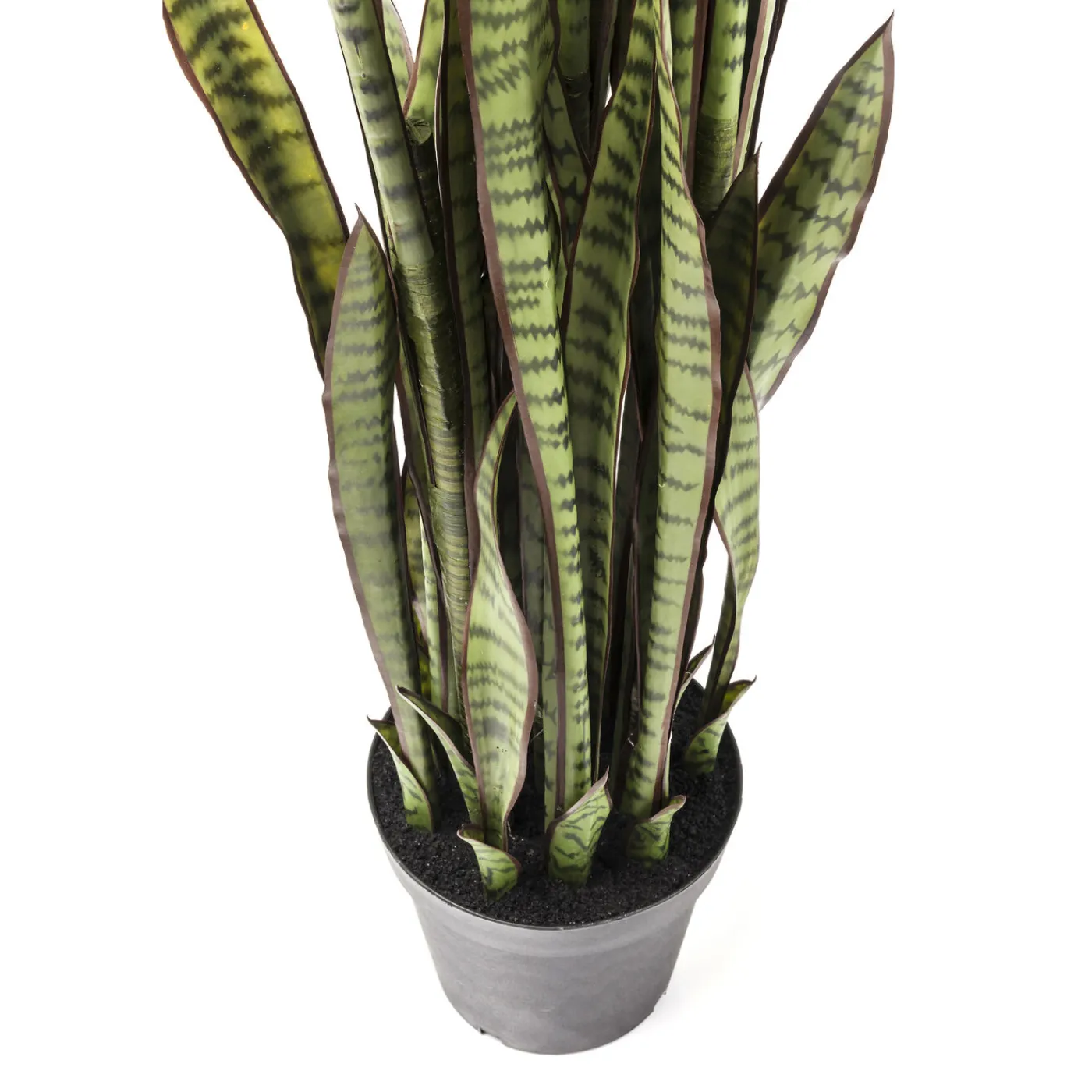 KARE Design Plante Décorative Sansewieria 155Cm
