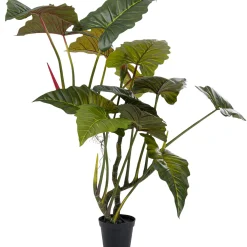 KARE Design Plante Décorative Taro 180