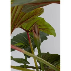 KARE Design Plante Décorative Taro 180