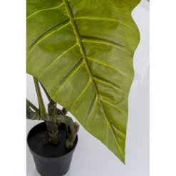 KARE Design Plante Décorative Taro 180