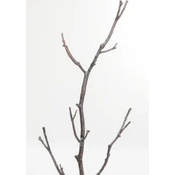 KARE Design Portemanteau Tree Branch 183