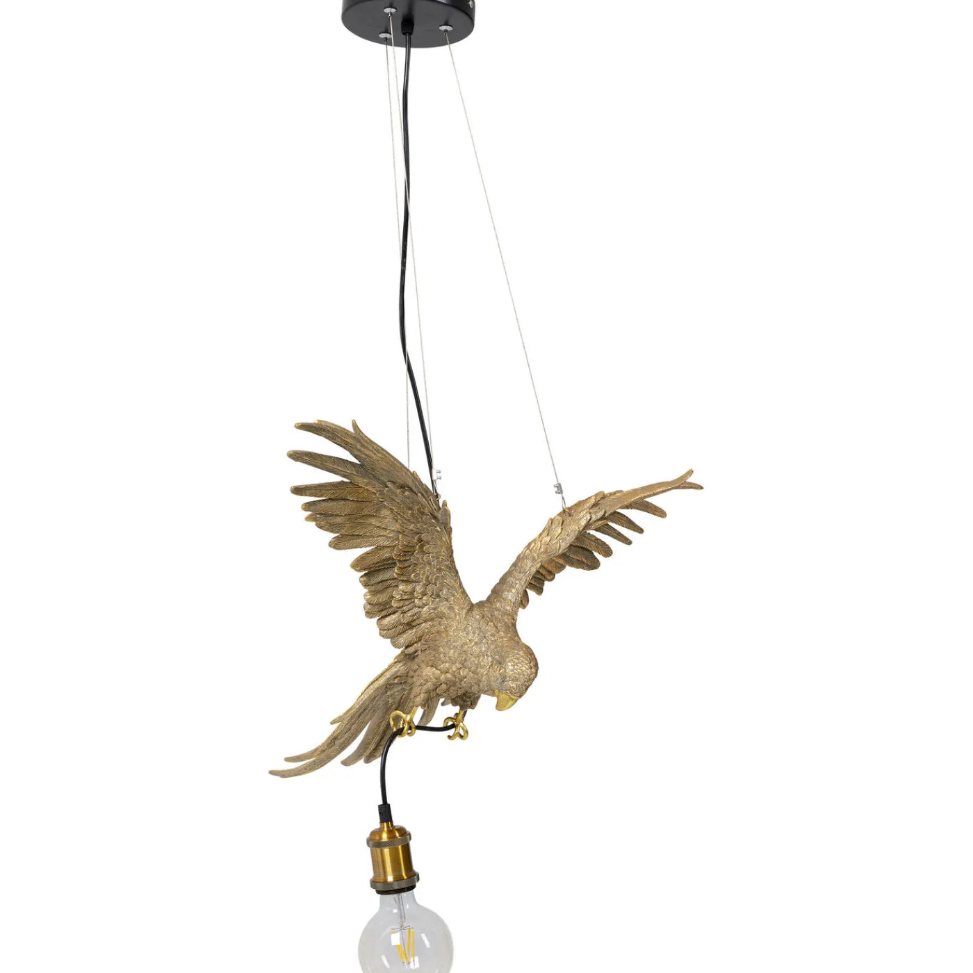 KARE Design Suspension Animal Parrot