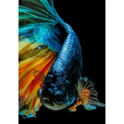 KARE Design Tableau En Verre Aqua Queen Fish 100X100Cm