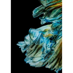 KARE Design Tableau En Verre Aqua Queen Fish 100X100Cm