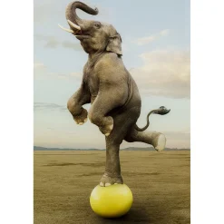 KARE Design Tableau En Verre Balance Elefant 150X100Cm