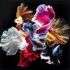 KARE Design Tableau En Verre Colorful Swarm Fish 120X120Cm