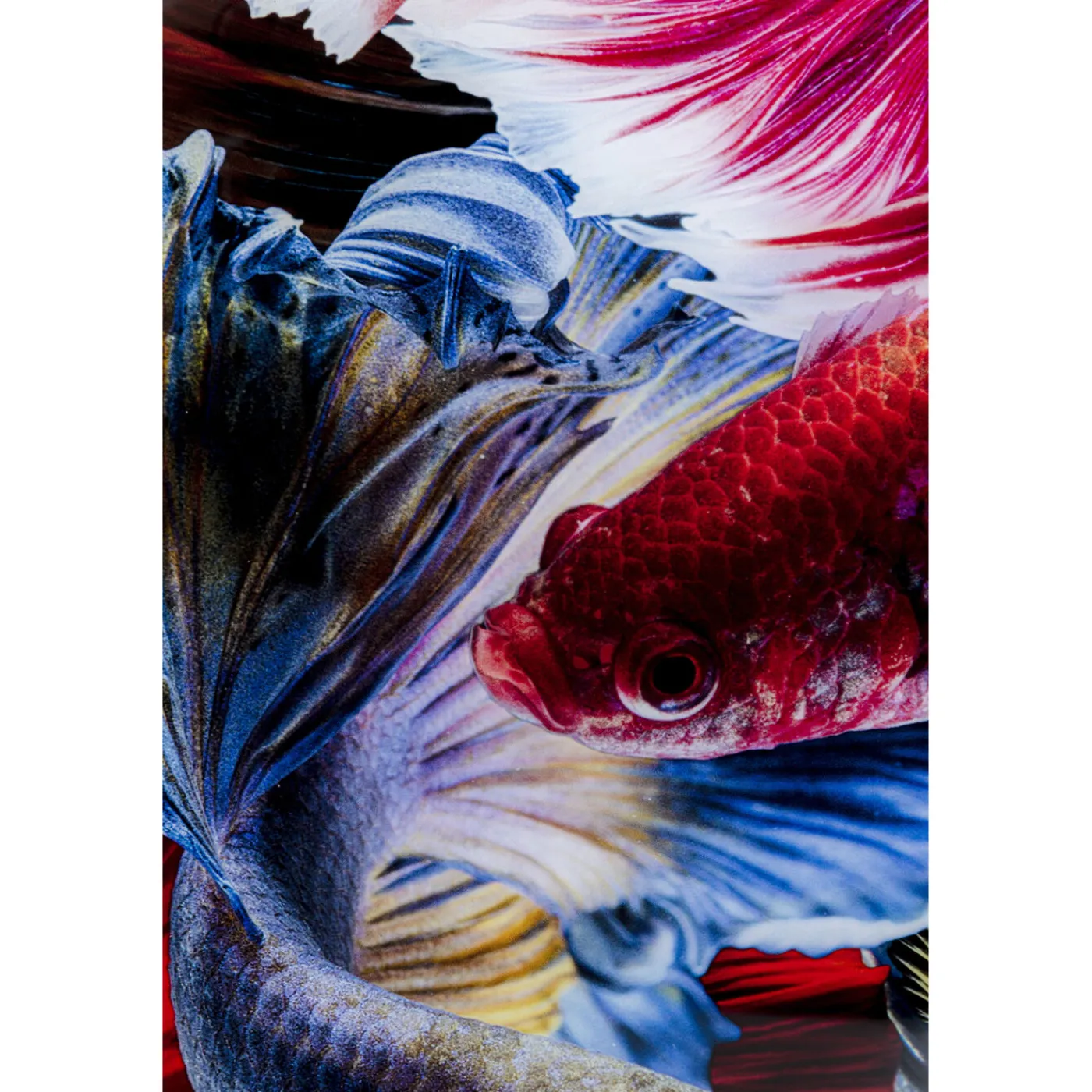KARE Design Tableau En Verre Colorful Swarm Fish 120X120Cm