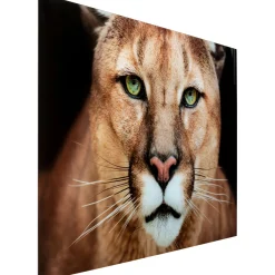 KARE Design Tableau En Verre Lioness 150X100Cm