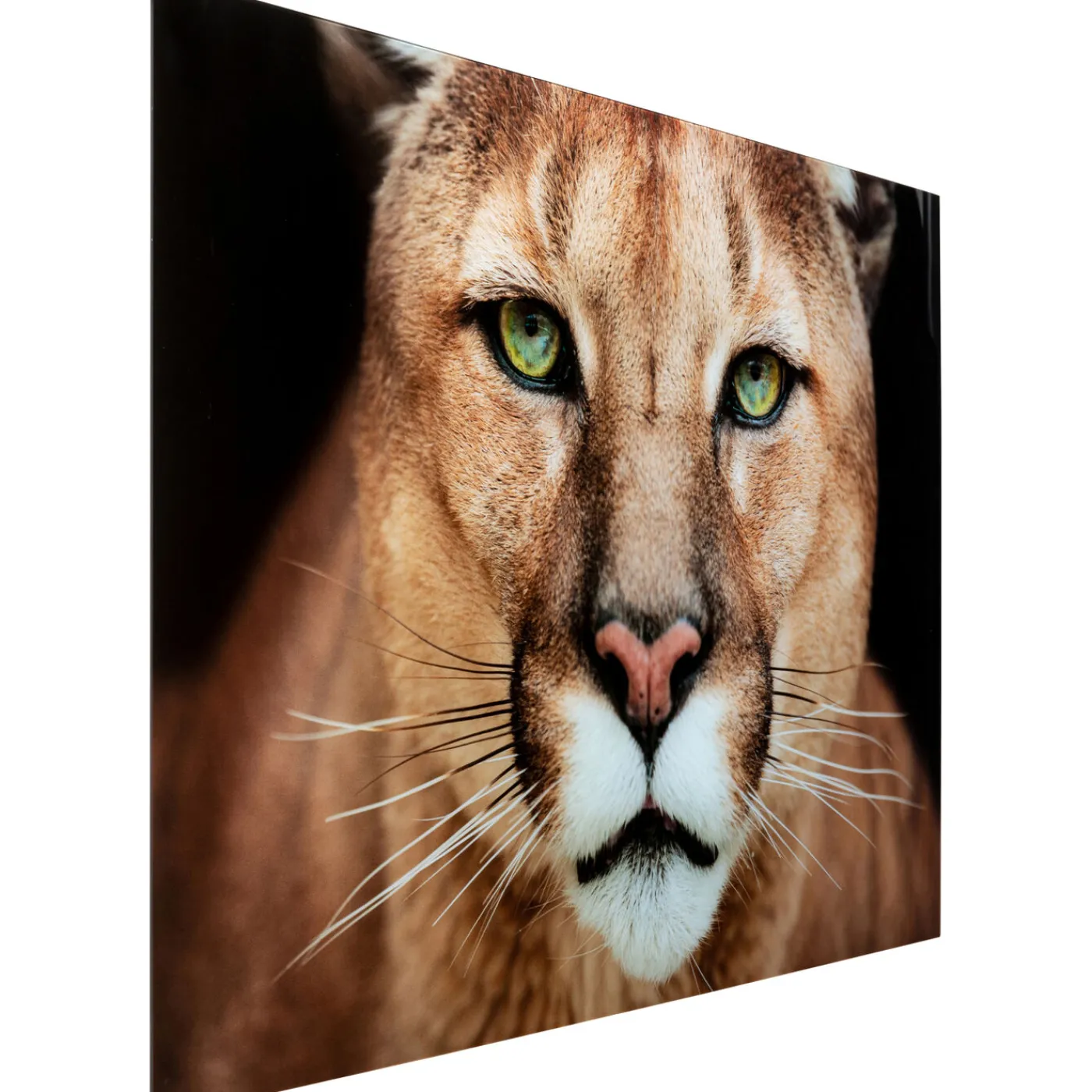 KARE Design Tableau En Verre Lioness 150X100Cm