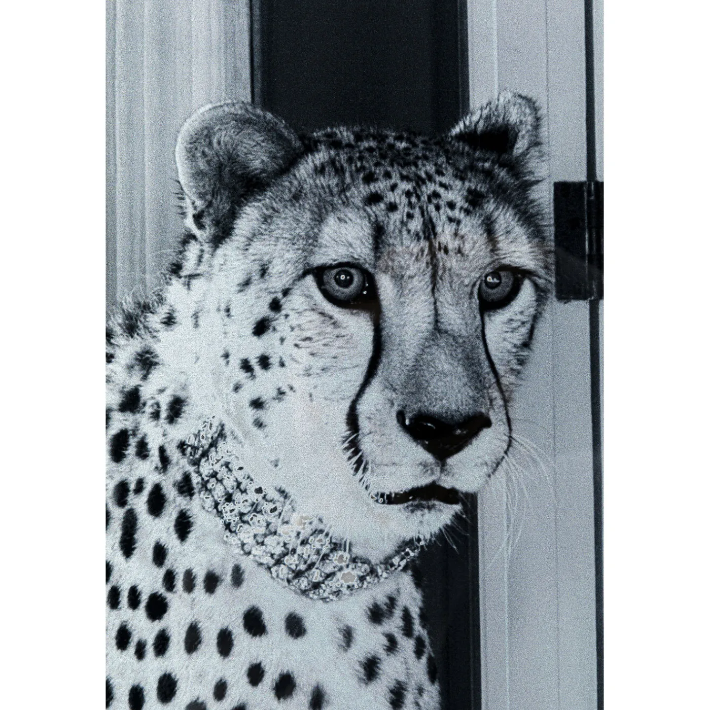 KARE Design Tableau En Verre Metallic Gepard 150X100Cm