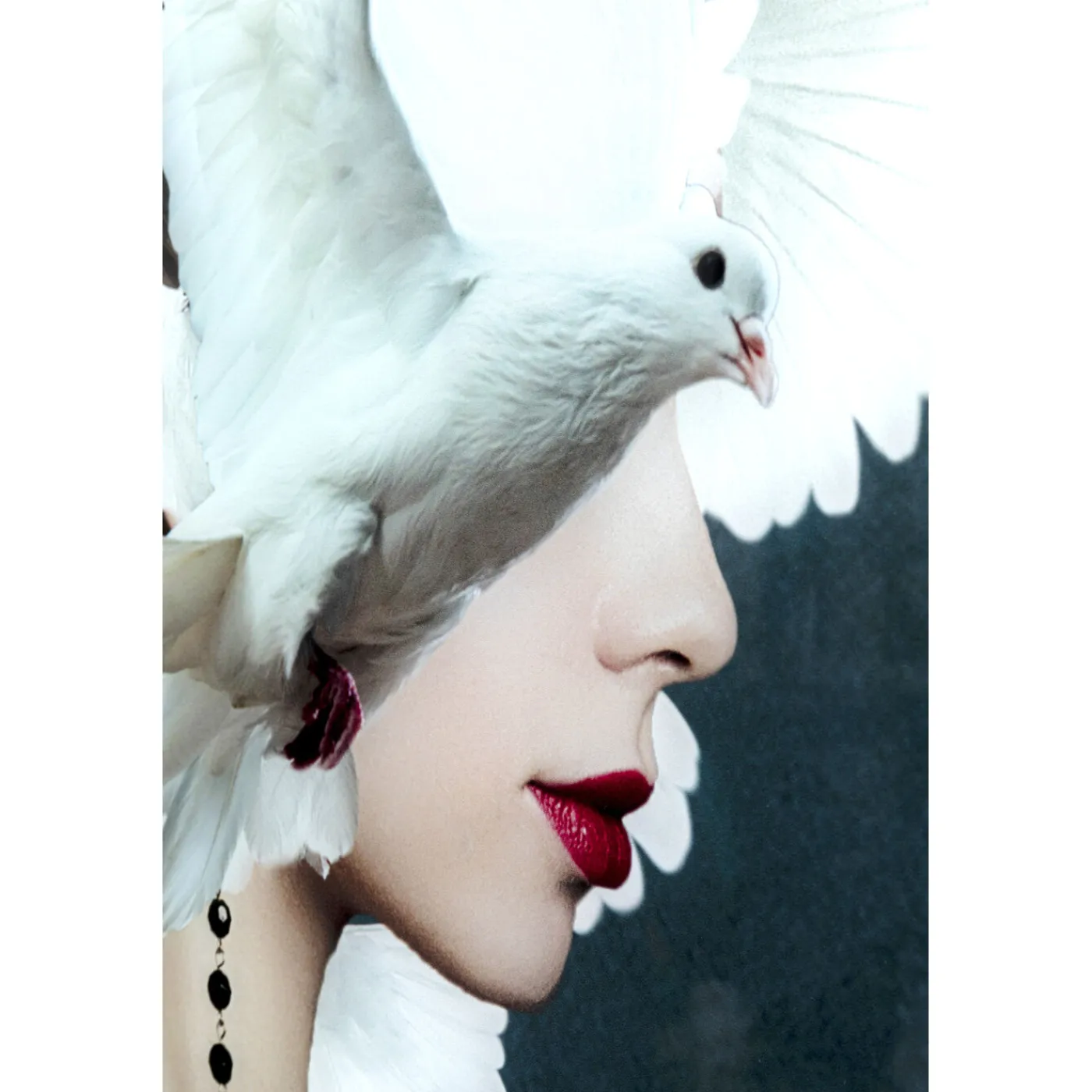 KARE Design Tableau En Verre Mother Of Doves 80X120Cm