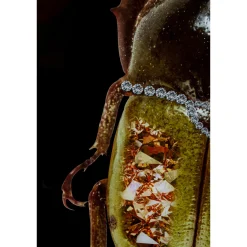 KARE Design Tableau En Verre Shiney Dung Beetle 80X120Cm