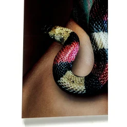 KARE Design Tableau En Verre Snake Girl 80X120Cm
