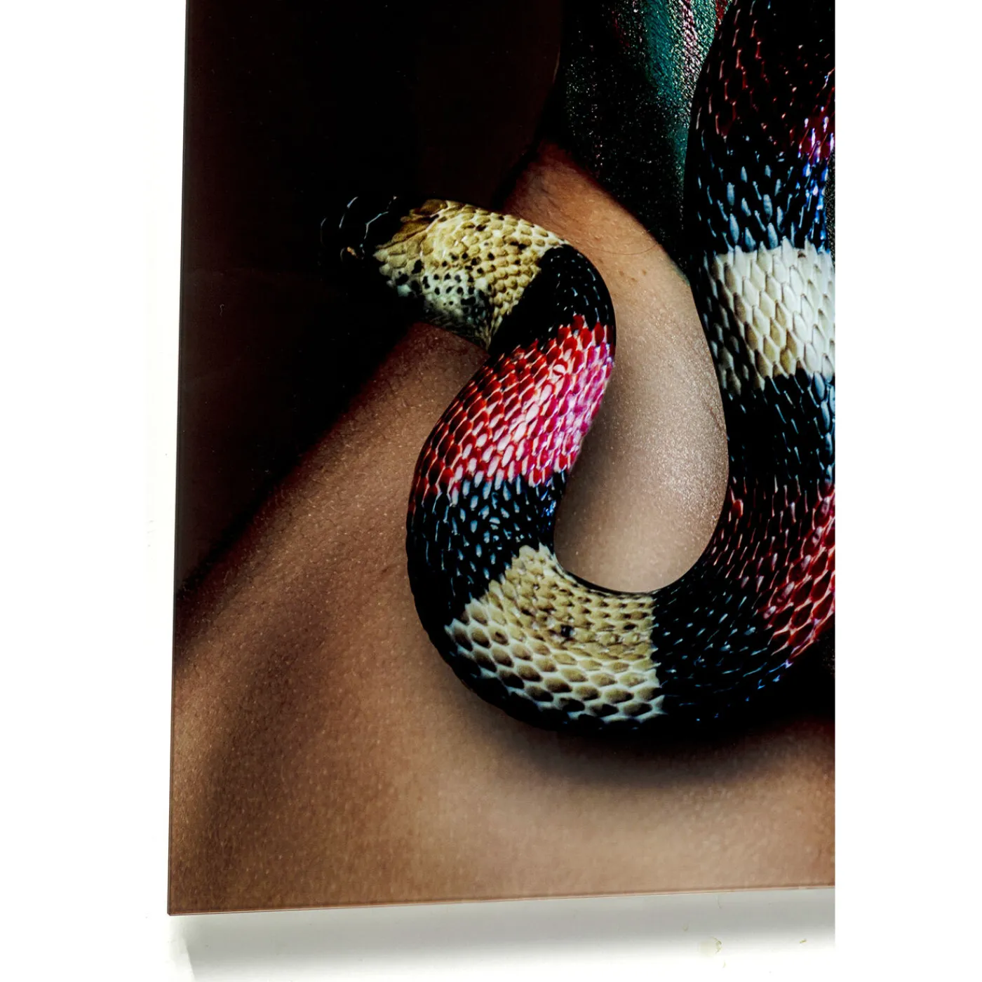 KARE Design Tableau En Verre Snake Girl 80X120Cm