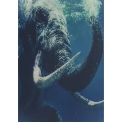 KARE Design Tableau En Verre Swimming Elephant 180X120