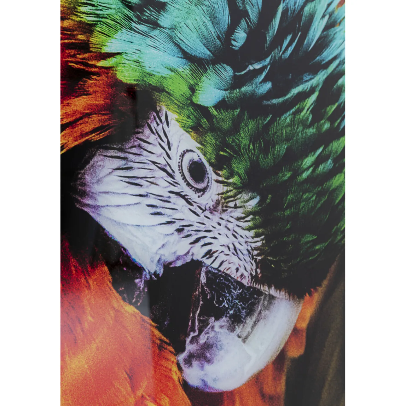 KARE Design Tableau En Verre Tropical Parrot 120X80Cm