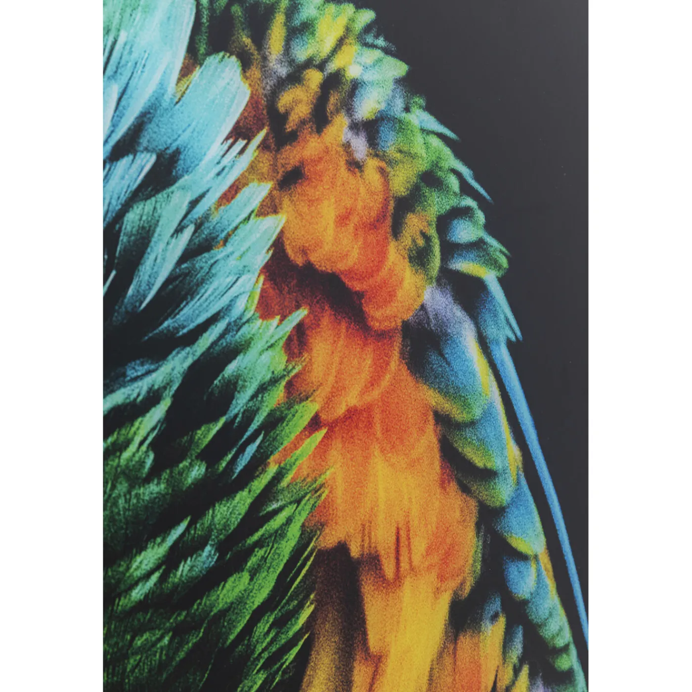 KARE Design Tableau En Verre Tropical Parrot 120X80Cm